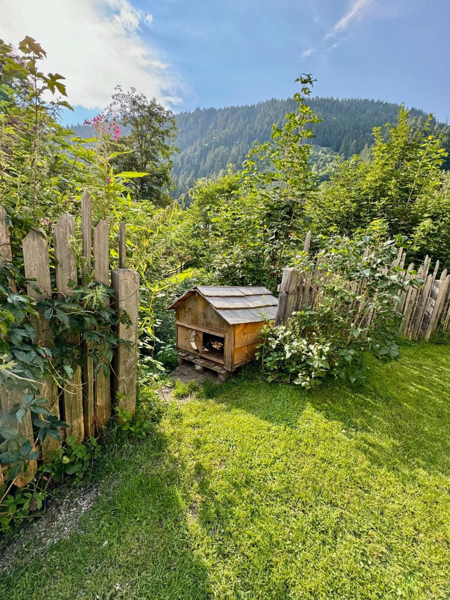 Appartement Haensel & Gretel Werfenweng Exterior photo